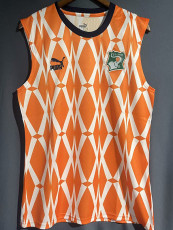 23-24 Ivory Coast Orange Vest