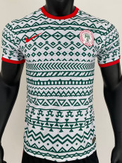 2023 Nigeria Green White Player Version Training Shirts