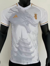 2023 Japan White Gold Special Edition Player Version Training Shirts (金边)