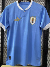 22-23 Uruguay Home World Cup Fans Soccer Jersey
