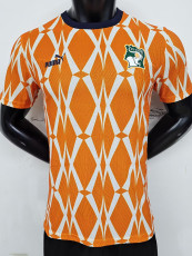 23-24 Ivory Coast Orange Special Edition Player Version Soccer Jersey