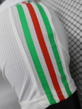 23-24 Italy White Special Edition Player Version Training Shirts