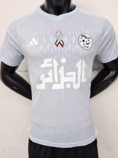 23-24 Algeria Grey Special Edition Player Version Soccer Jersey #14