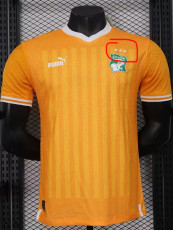 22-23 Ivory Coast Home 3 Star Player Version Soccer Jersey (带三星)
