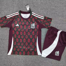 24-25 Mexico Home Kids Soccer Jersey