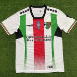 24-25 Deportivo Palestino Home Fans Soccer Jersey
