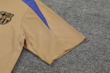 24-25 BAR Earthy Gold Training Short Suit