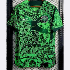 22-23 Nigeria Home Fans Soccer Jersey