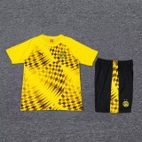 24-25 Dortmund Yellow Training Short Suit