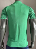 24-25 Palmeiras Green Special Edition Player Version Soccer Jersey