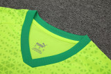 24-25 Palmeiras Fluorescent green Training Short Suit