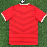24-25 Panama Red Limited Edition Fans Soccer Jersey