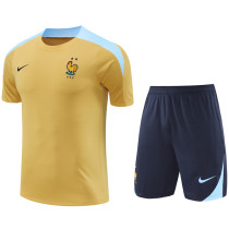 24-25 France Yellow Training Short Suit