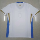 24-25 Uruguay White Blue Special Edition Fans Soccer Jersey