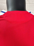 24-25 ARS Home Long Sleeve Player Version Soccer Jersey (长袖球员)