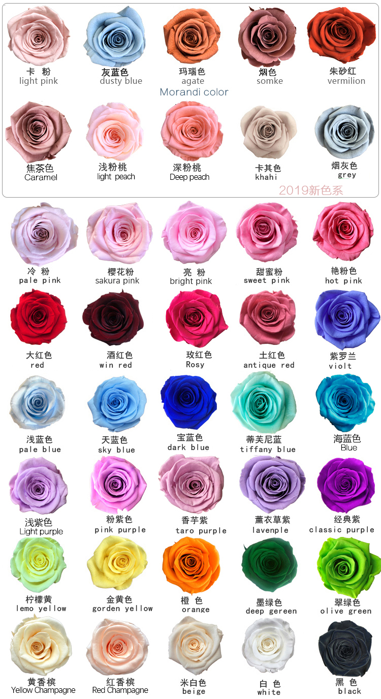 Us 15 50 Wholesale Grade a 40 Colors Best Quality Size 5 6 Cm Real Natural Eternal Preserved Roses M Freeflower Net Us 15 50 Wholesale Grade a 40 Colors Best Quality Size 5 6 Cm Real Natural Eternal Preserved Roses M Freeflower Net