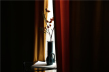YILIA Velvet  thick  curtains