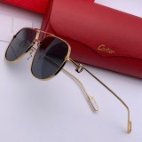 Shop reps cartier Sunglasses CT0111S Online CR123