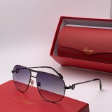 Shop reps cartier Sunglasses CT10071 Online CR124