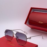 Shop reps cartier Sunglasses CT0111S Online CR123