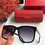 Shop reps cartier Sunglasses 0131 Online CR117