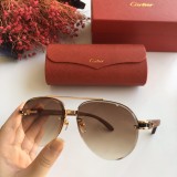 Wholesale 2020 Spring New Arrivals for Cartier Sunglasses CT8200986 Online CR137