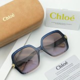 Buy quality knockoff chloe Sunglasses CE746S Online SCHL009