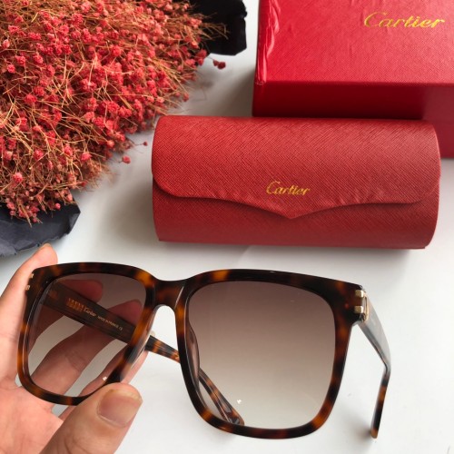 Shop reps cartier Sunglasses 0131 Online CR117