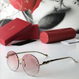 Shop Cartier Sunglasses CT6009 Online Store CR115
