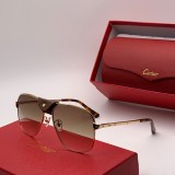 Shop reps cartier Sunglasses CT0035S Online CR122