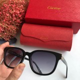 Shop reps cartier Sunglasses CT0004S Online CR119