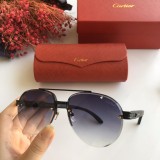 Wholesale 2020 Spring New Arrivals for Cartier Sunglasses CT8200986 Online CR137