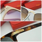 Buy Cartier Sunglasses CT0013S Online CR108