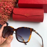 Shop reps cartier Sunglasses CT0002S Online CR118