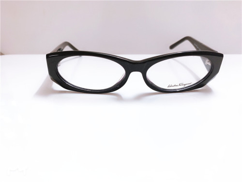 Special Offer Ferragamo Eyeglasses Common Case