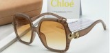 Buy quality knockoff chloe Sunglasses CE746S Online SCHL009