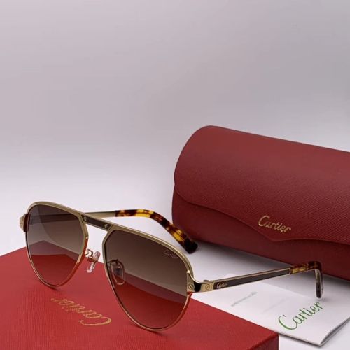 Shop Cartier Sunglasses CT0101 Online Store CR111