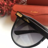 Wholesale Cartier Sunglasses CT0013S Online CR135