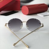 Shop Cartier Sunglasses CT6009 Online Store CR115