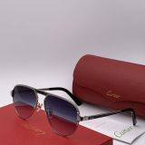 Shop reps cartier Sunglasses CT0101 Online Store CR111