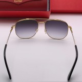 Buy Cartier replica sunglasses CT0109 Online CR128