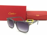 Wholesale Cartier Sunglasses 0160 Online CR132