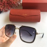 Cartier Sunglasses CT0109 Online CR109