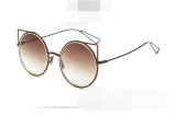 Special Offer Sunglasses Common Case STJ006