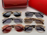 Shop reps cartier Sunglasses CT0035S Online CR122