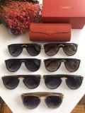 Wholesale Cartier Sunglasses CT0013S Online CR135
