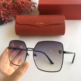 Cartier sunglasses dupe CT028S Online CR140