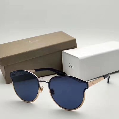 Online store DIOR Sunglasses Online SC104