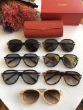 Wholesale 2020 Spring New Arrivals for Cartier Sunglasses CT0159S Online CR136