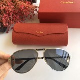 Cartier sunglasses dupe CT0101S Online CR141